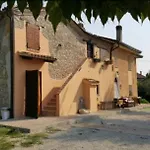 Il Cantinoccio Cerasolo