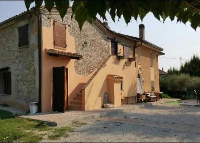 Il Cantinoccio Cerasolo